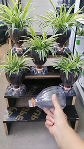 "Welcome to our garden family! 🌿🌸 Enjoy tips & ideas! 🌱😊" #GardeningLife #HomeGarden #OrganicGardening #GardenLovers #GrowYourOwnFood #UrbanGardening #BackyardGarden #GreenThumb #GardeningTips #PlantLovers #BackyardFarming #HomegrownBusiness #SustainableLiving #BarterEconomy #TradeLocal #GrowAndTrade #SelfSufficiency #PermacultureTrade #HomesteadTrading #FarmToTable | gardenwhishperer