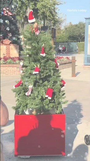 Meet Douglas Fir, the talking Christmas tree that's delighting Disney guests