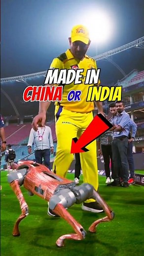 Why Robot Dogs are Taking Over IPL 2025 Cricket Matches #cricket