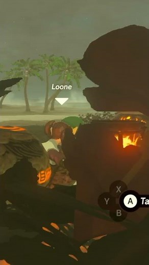 LINK! What are you DOING!??