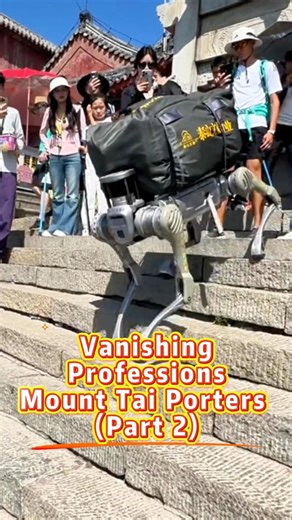 即将消失的职业-泰山挑山工（下集）。关注我，带你看科技助力，机器狗上线，泰山挑山工或成历史。#泰山 #机器狗 #挑山工 #MountTai #RoboticDog #Porters