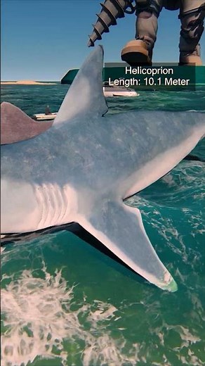 "Sea Monsters Size Comparison 2024 3D | Bloop vs Kraken vs Megalodon vs El Gran Maja"