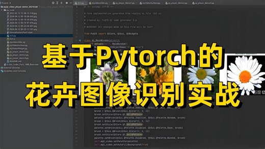 【2026最新】基于Pytorch的花卉图像识别模型实战，原理详解 项目实战，看完就能跑通，学不会你打我！深度学习/图像分类