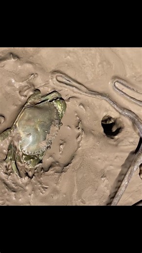 Catch fish by hand (@fishingmaster9)’s videos with ominous - insensible