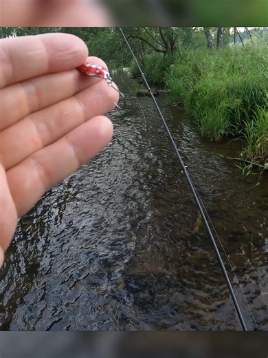 Brown trout fishing with spoons #trout #fishing