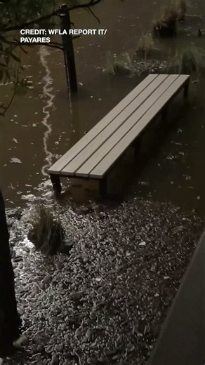 A Look Back: Hurricane Helene brings devastating storm surge to Tampa Bay