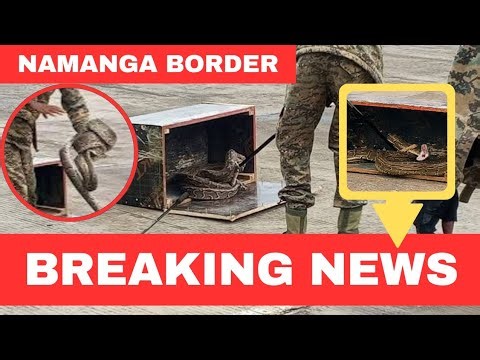 WANTAM POLITICIAN CAUGHT Live IMPORTING JUJU PYTHON Through NAMANGA BORDER!