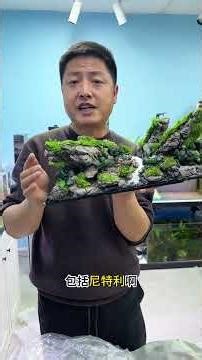 Build a Smart Aquarium Paradise - A Lazy Beginner's Guide