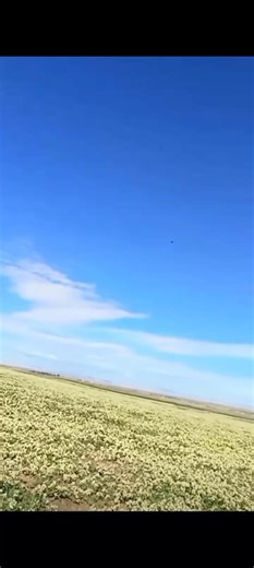Sukhoi 57E: La Force Aérienne Algérienne en Action