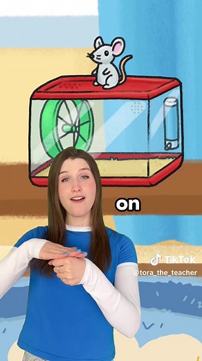 Finding the Ball: Prepositions for Kids