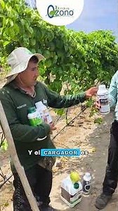 🍈 Real testimonial about passion fruit: this is how they achieved better results