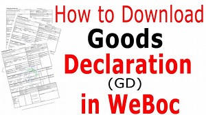 How Can I Get My Goods Declaration (GD) Online - PakistanCustoms.net - Help You to be an Entrepreneur