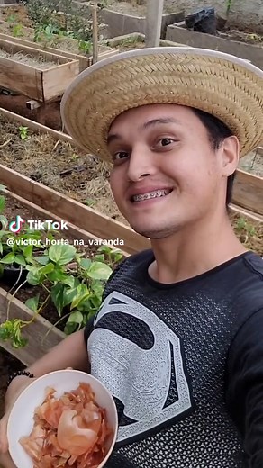 VOCÊ JOGA FORA AS CASCA DE CEBOLA? OLHA ISSO!!! #plantas #horta #plantasdeinterior #foryou #garden #victorhortanavaranda