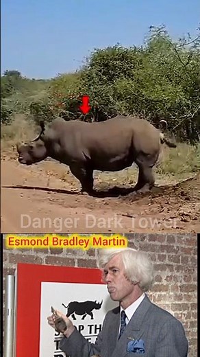The $100,000 Rhino Horn Myth That’s Killing Rhinos