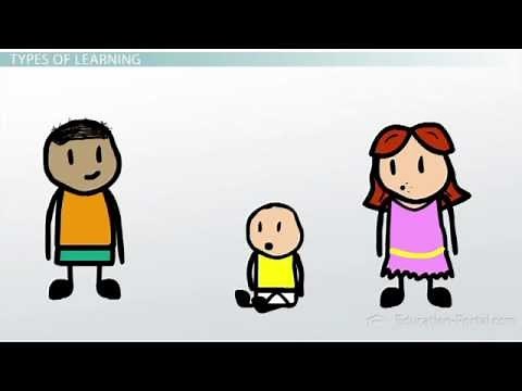 What is Learning? Understanding Effective Classroom Strategies