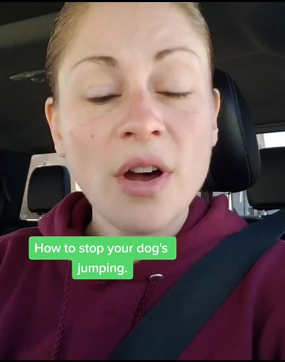 Effective Methods to Stop Your Dog's Jumping Behavior