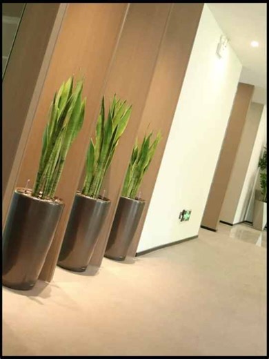 Wholesale Modern Design Plastic Decorative Garden Planters & Flower Pots Large Indoor Use Cheap Price Flower/Green Plant Shape