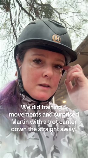 Great lesson! #blueponyclub #dressage #dressagehorse #dressagerider #dressagetraining