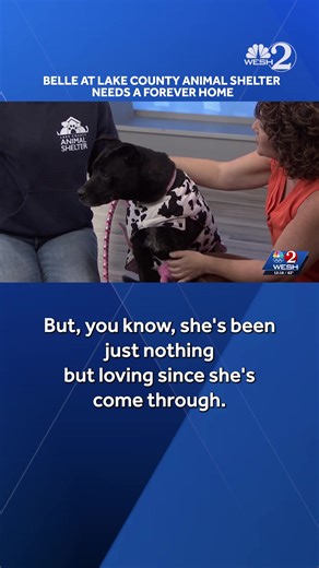 5.8K views · 51 reactions | WESH 2 The Rescue is back and our friends...