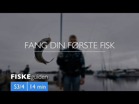 FISKEguiden: Fang din første fisk