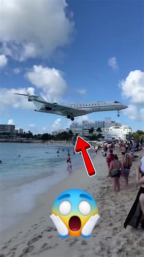 Extremely Low Landing Bombardier Maho Beach #reelsfypシ #accident #shorts #planelove | Melisia Martinez