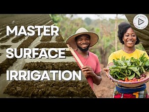 Learn Surface Irrigation: How to Avoid Water Loss and Improve Your Crops | Furrow