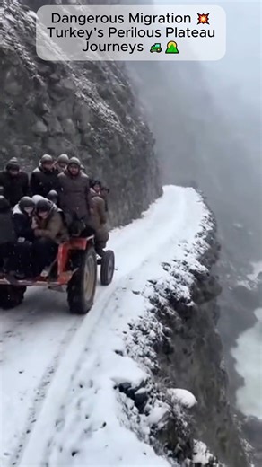 Dangerous Migration 💥 Turkey’s Perilous Plateau Journeys 🚜🌄 🎬 In this video: The dramatic migration of families in Turkey’s Anadolu region, navigating treacherous paths from plateaus to villages. 👇 Facing icy rivers, slippery rocks, and rugged roads, these resilient people—young and old—brave dangerous journeys for survival. Witness their courage and the emotional reality of life in harsh conditions. ✨ Share your thoughts in the comments! ❤️ Like, follow, and turn on the bell to stay update
