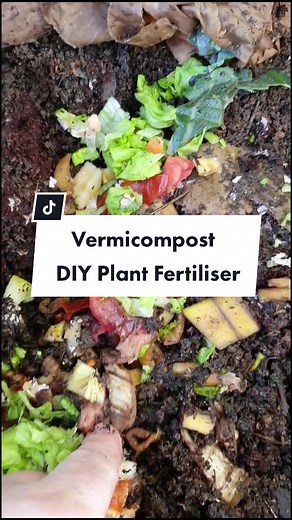DIY Vermicompost Fertilizer for Eco-Friendly Gardening