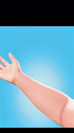 Explore 3D Animations with Zack D Films