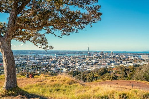 The 11 best things to do in Auckland