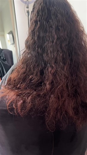 Jayda Wayda's Stunning Natural Hair Journey