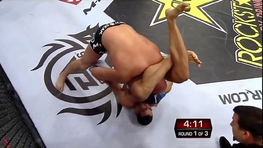 Fabricio Werdum vs Fedor Emelianenko