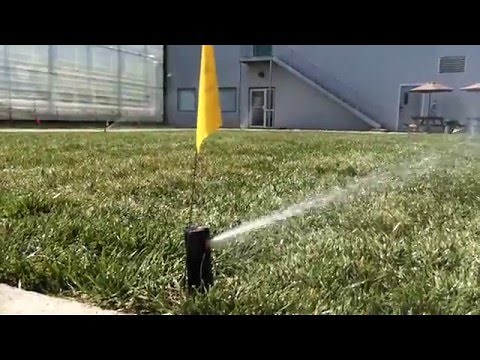 Système d'arrosage automatique Rain Bird