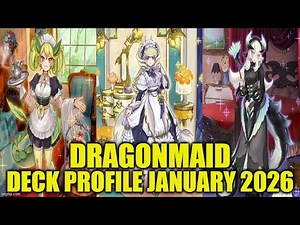 DRAGONMAID DECK PROFILE (JANUARY 2026) YU-GI-OH!