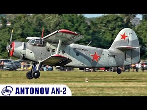 Antonov An-2 Takeoffs, Landings & Formation Lowpasses | Budaörs Airshow [4K] 2021