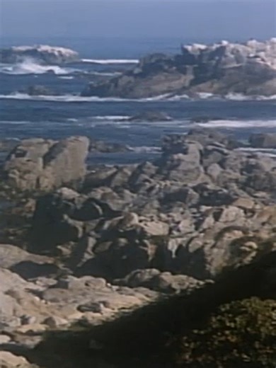 80s Nostalgia: Knots Landing Family Storytime