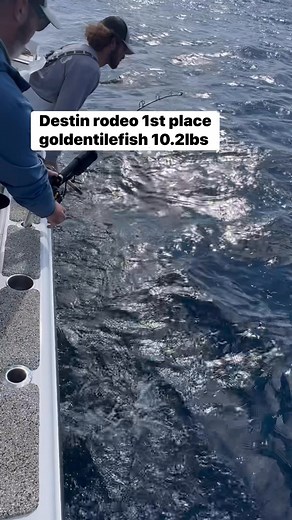 Had an awesome day out for the last day of the Destin Fishing Rodeo - Destin, Florida. Connley Fishing deep drop rod was putting that work with that ultra sensitive tip and looking great doing it. #sofinatical #finaticalcharters #destinfishing #connleyfishing | Finatical Charters