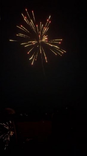 Matrix Pyro 16 Shots | 200g Firework by Brothers Pyrotechnics #fireworks #pyro