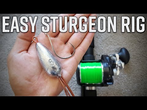 2 EASY Rigs for Bank Sturgeon Fishing