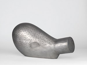 Martin Puryear: Multiple Dimensions | The Art Institute of Chicago