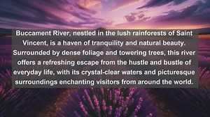 Exploring Paradise: Top 10 Famous Rivers in Saint Vincent and the Grenadines