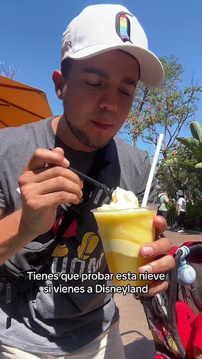 Delicious Disney Ice Cream at Disneyland