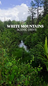 If you dont wait till the end, you're missing out 😜 #visitpinetoplakeside #ilov3az #azwildlife #azgfd #whitemountainsaz #aztravel #arizonahighways #viewsfordays | Visit Pinetop-Lakeside, AZ