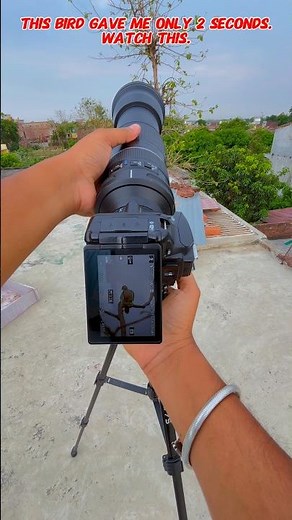 nikon best camera with 150-600mm best lens for wildlife photography 👀 #nikon #birds #wildlife