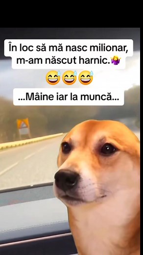 #pamflet | Radio 1 Manele