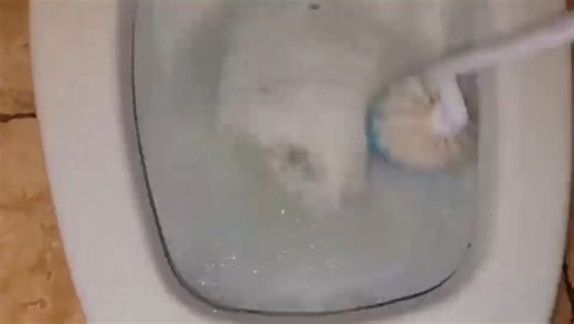 Watch Splash Toilet Cleaner Foam Powder on Amazon Live