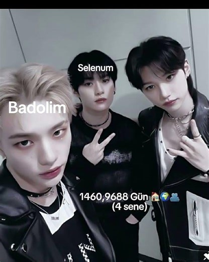 Badolim&selenum #keşvetküsmüyüz #straykids #ytdayibenionecikarnolur #skz #kpopskz #kpop #stay