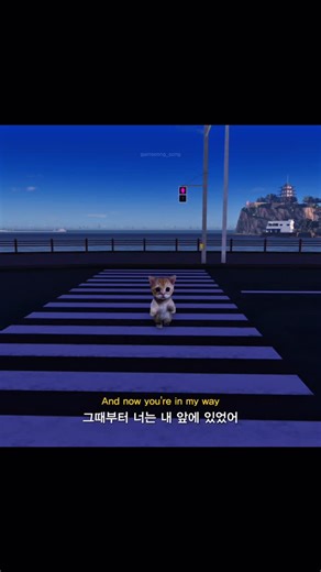 갬성송 on Instagram: "Carly Rae Jepsen - Call Me Maybe #callmemaybe #song #playlist #mood #cat #노래 #팝송 #고양이"