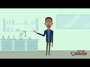 SARS-CoV-2 replication cycle