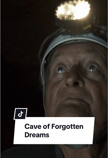 Cave of Forgotten Dreams: A Journey into Ancient Art